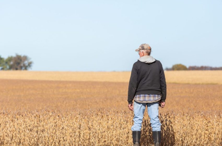  How the Iran war is sending fertilizer prices soaring—and threatening 48 million U.S. jobs