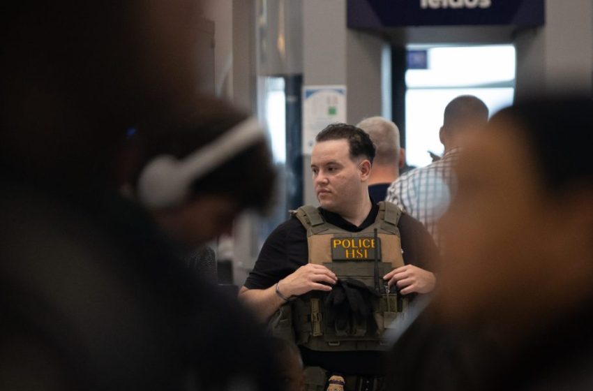  ICE at Airports Trains Us to Accept Being Terrorized in Our Daily Lives