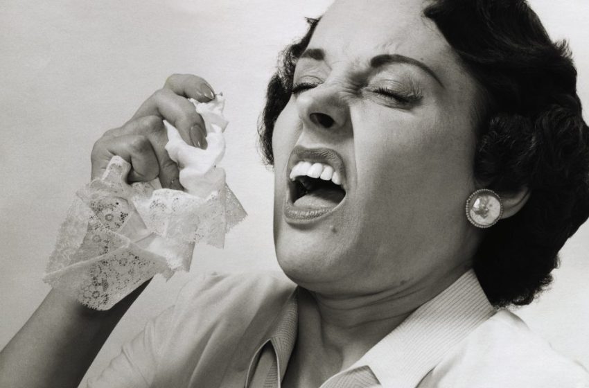  Woman sneezes out maggots after fly larvae get trapped in her deviated septum