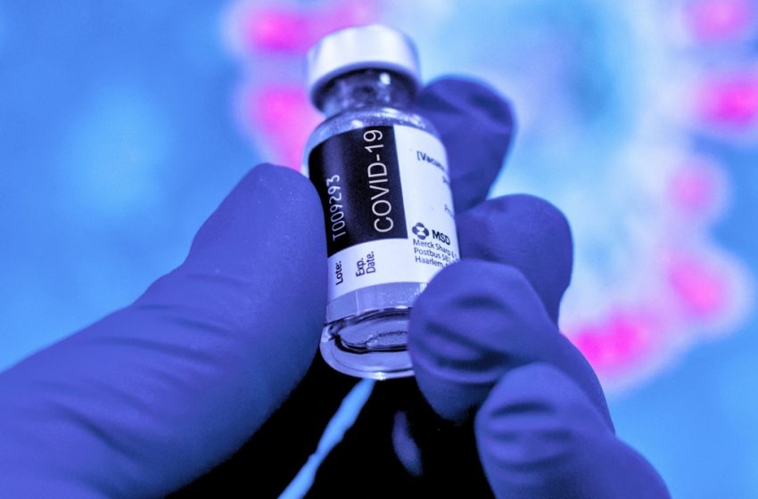  Scientists Can Finally Explain Rare Blood Clots Linked to COVID Vaccines : ScienceAlert