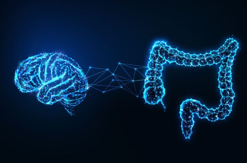  Your Gut-Brain Link May Offer a New Way to Fight Cognitive Decline : ScienceAlert