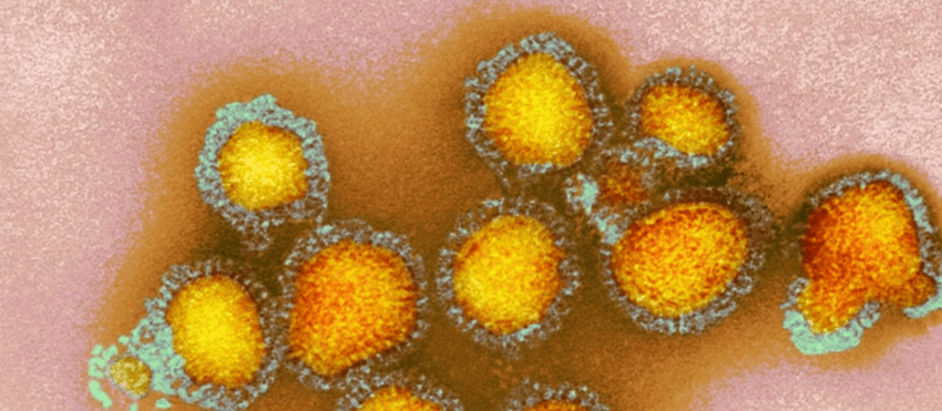  Infectious Information 3/14/2026