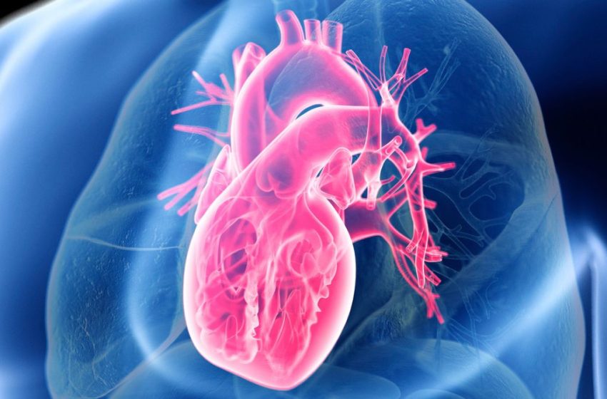  Giant Study Reveals The Secret to Heart Health, And It’s Not Low-Carb or Low-Fat : ScienceAlert