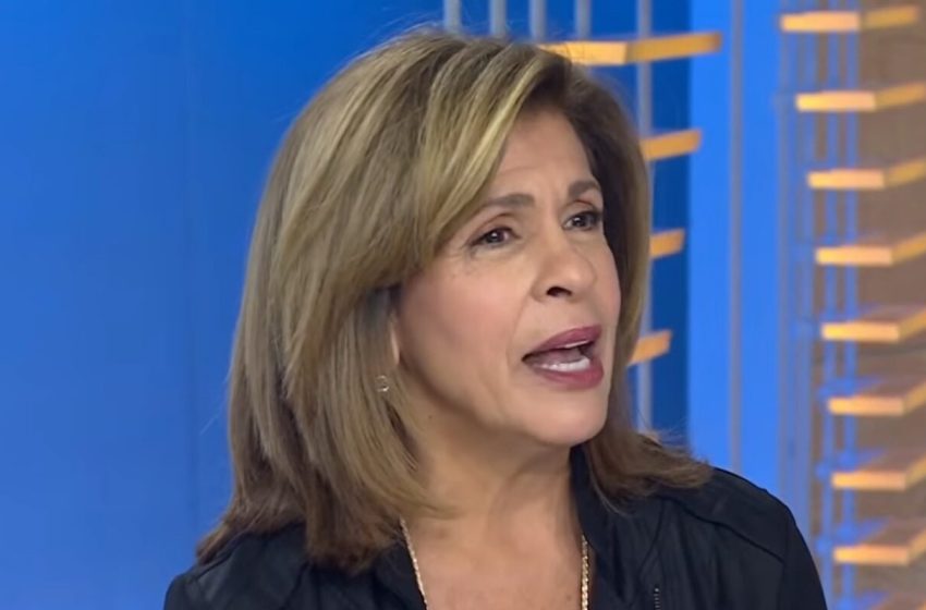  Sheinelle Jones Anchors ‘Today’: Where Is Hoda Kotb?