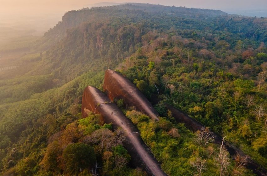  Staggering drone images show three colossal ‘whales’ rising from a forest in Thailand