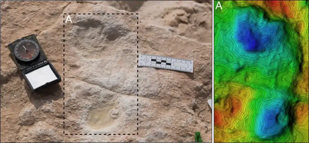 Human Footprints On Rock, With Scale And Compass For Reference, Alongside A Topographical Map Showing Their Contours.
