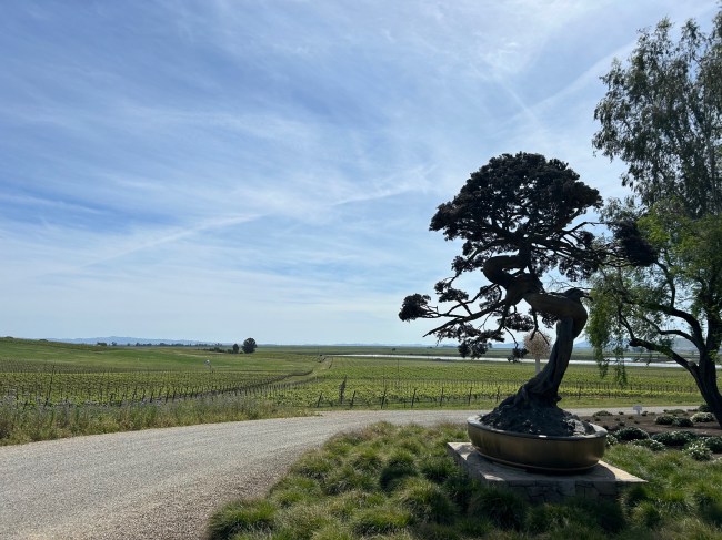 Sonoma's Donum Estate