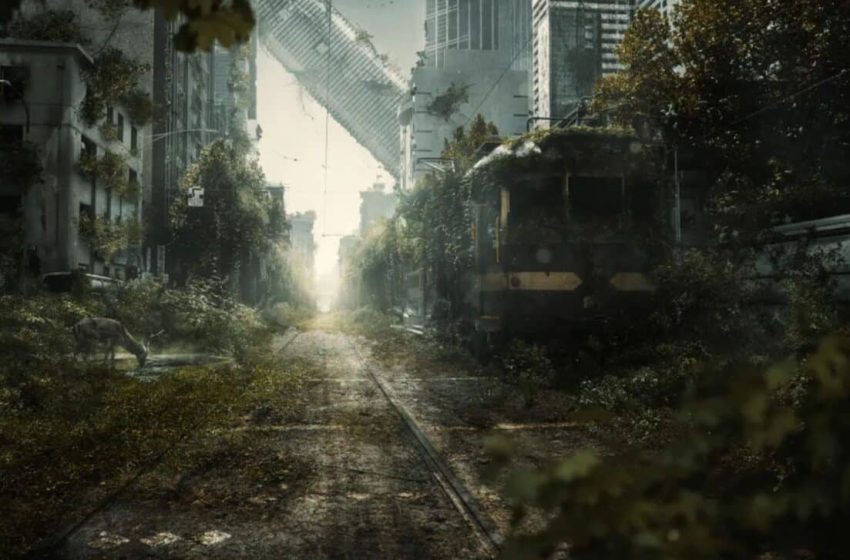  If Humans Vanished Tomorrow, Scientists Say This Animal Could Secretly Take Over the Planet