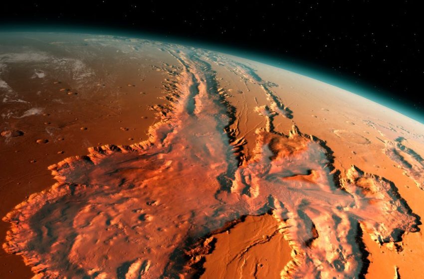  How Will Gravity on Mars Affect Humans? A New Study Reveals a Clue. : ScienceAlert