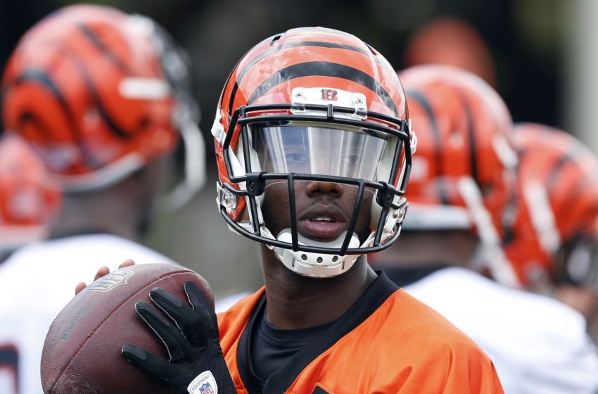  Josh Johnson returns to the Bengals for his third stint in Cincinnati