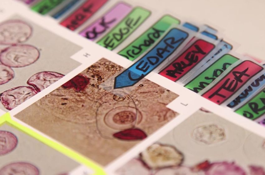  ‘Buckle up’: Allergy season hitting early — and hard — in Utah