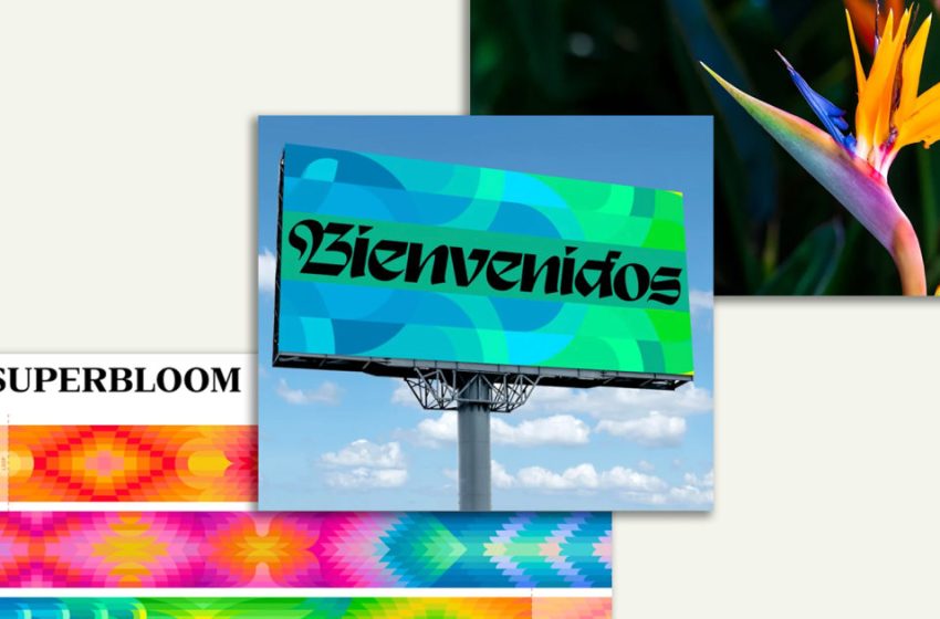  LA28 unveils floral-inspired visual identity for 2028 Olympics