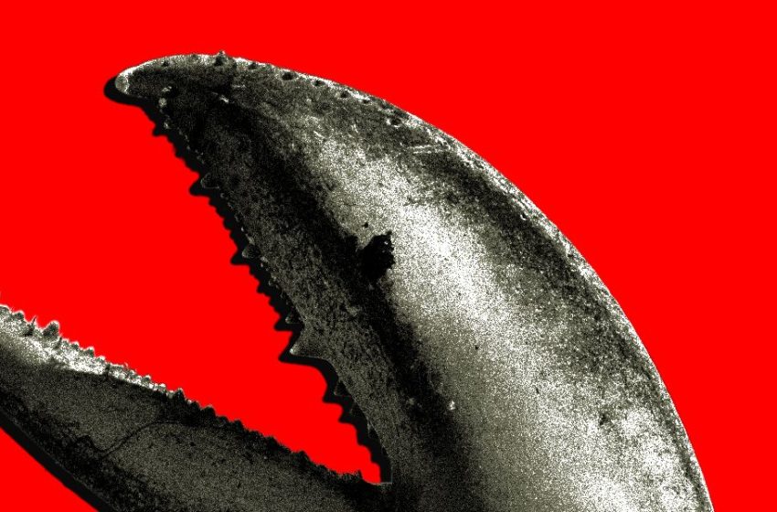  China’s OpenClaw Boom Is a Gold Rush for AI Companies