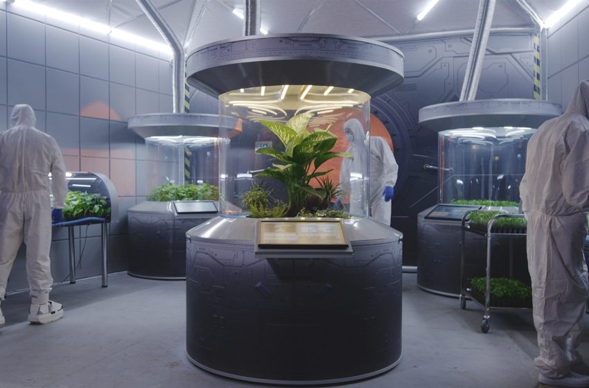  Cyanobacteria have the potential to turn Martian soil fertile