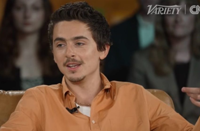  Timothée Chalamet Faces Backlash From Ballet and Opera Communities