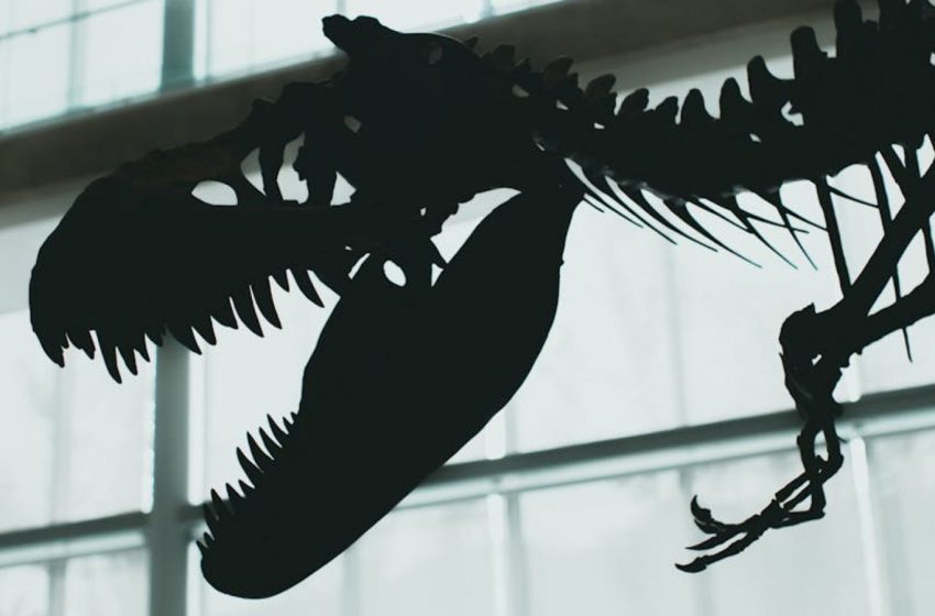  New dinosaur species discovered in South Korea for the first time in 15 years