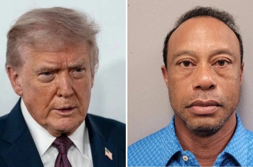  No Rides From Vanessa Trump’s Boyfriend Tiger Woods