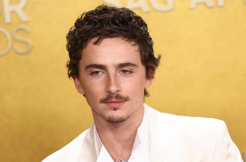  Timothée Chalamet Faces Backlash For Saying “No One Cares” About Ballet, Opera