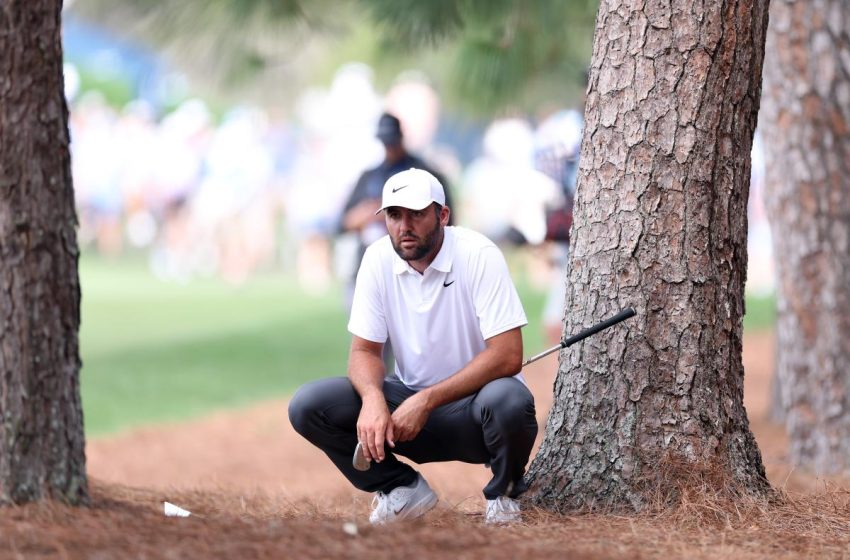  PGA Tour’s dubious ‘fifth major’ is really just another con job – New York Post