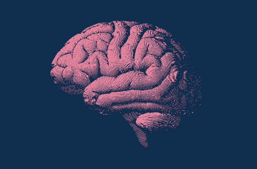  This Unique Diet Could Slow Your Brain Aging by Over 2 Years, Study Suggests : ScienceAlert