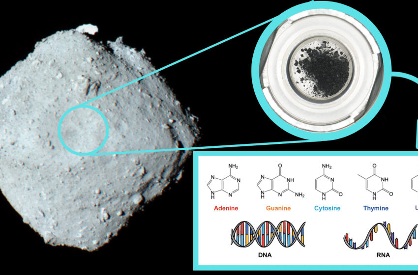  Ryugu asteroid sample contains all five key components of DNA and RNA: the building blocks of all living things
