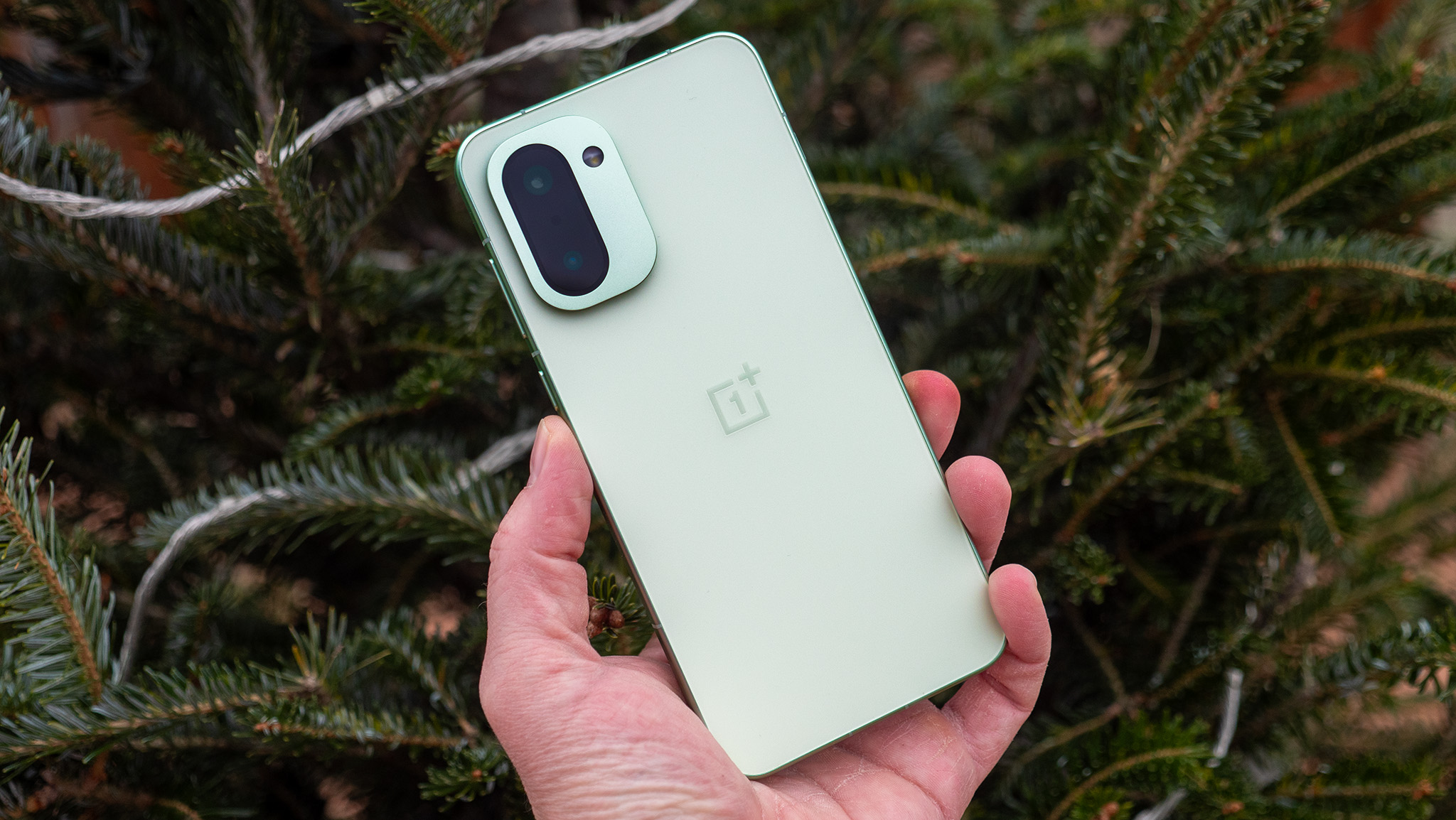 Holding a mint green OnePlus 15R in front of a pine tree