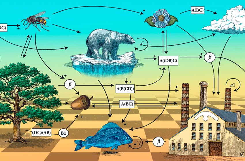  Can the Most Abstract Math Make the World a Better Place?