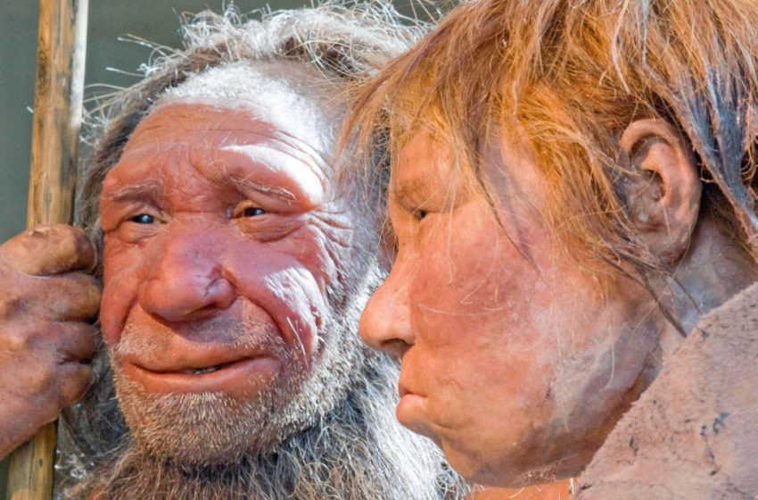  Neanderthal DNA Is Missing From Our X Chromosome. This Could Be Why. : ScienceAlert