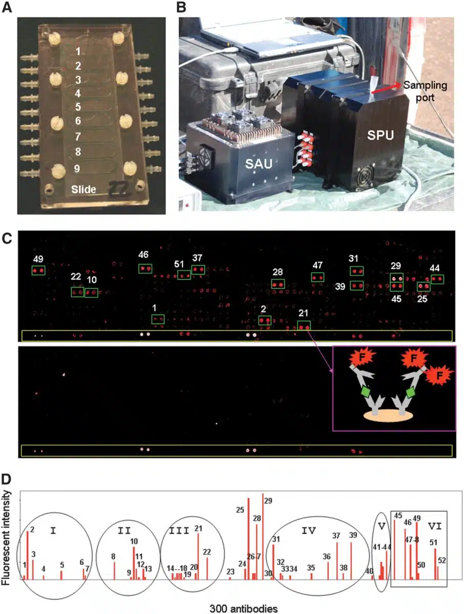 Solid Instrument And Antibody Based Detection Of Biosignatures In Subsurface Samples.