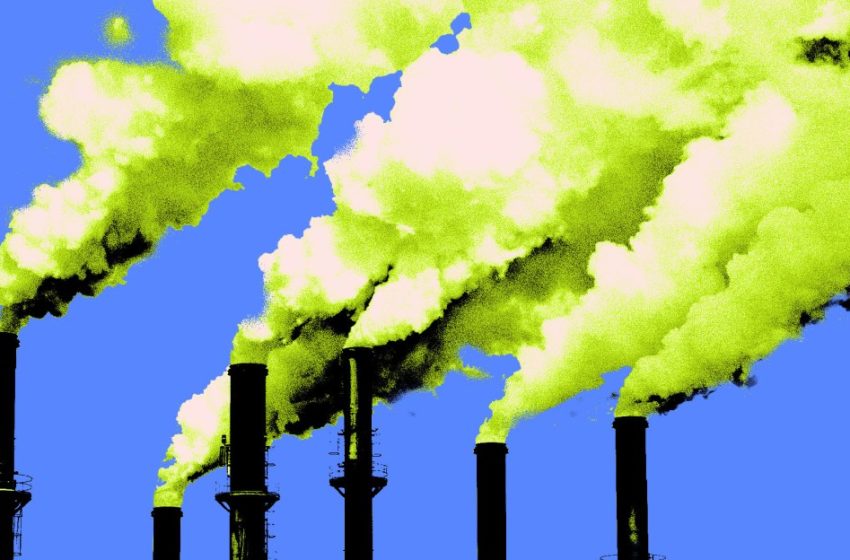  ‘Work from home,’ encourages the world’s energy watchdog