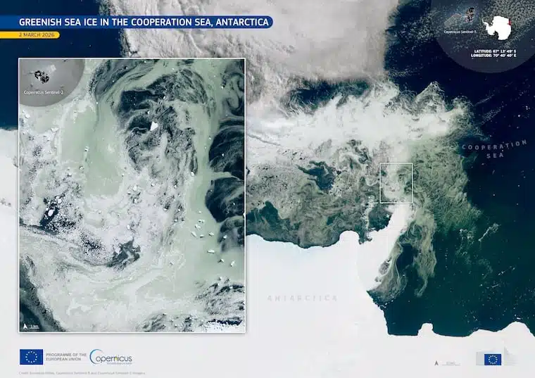 Satellite View Of Greenish Sea Ice In The Cooperation Sea, Antarctica