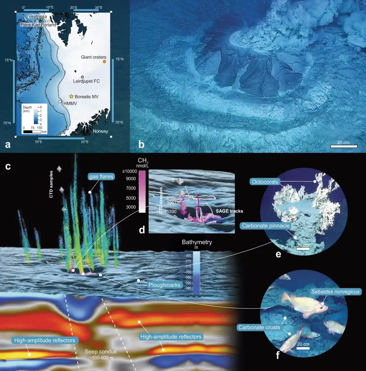 Scientific Visualization Of The Borealis Mud Volcano System