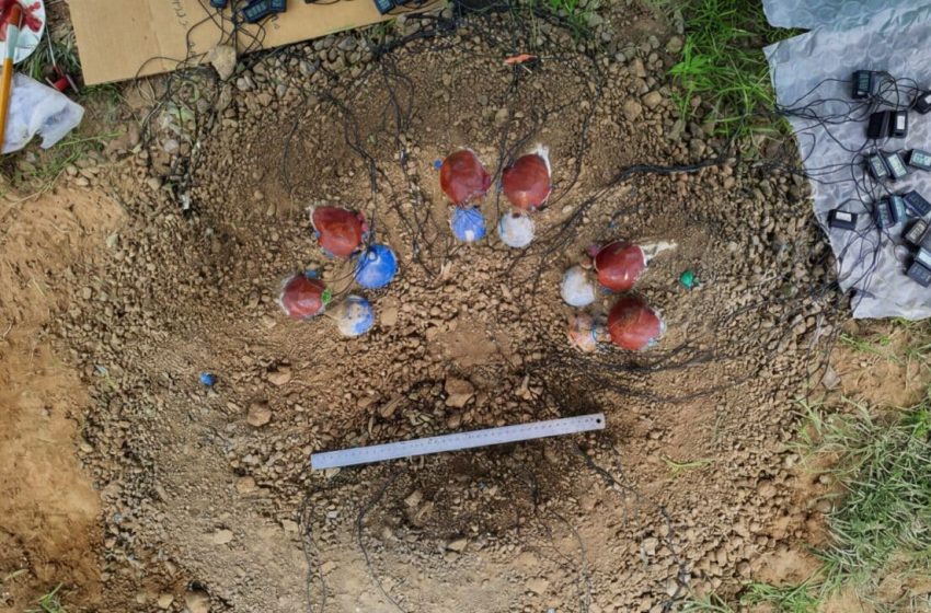  Scientists Built a Full-Scale Dinosaur Nest and Discover Why the Eggs Didn’t Hatch at the Same Time