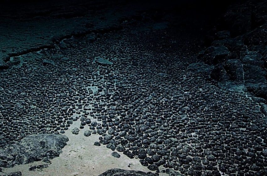  4,000 Meters Below Sea Level, Scientists Uncover “Dark Oxygen” Where Sunlight Has Never Reached