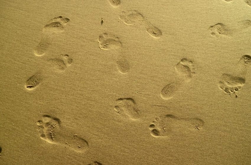  Scientists Discovered 29 Human Footprints Strangely Arranged on a Remote Island in Canada