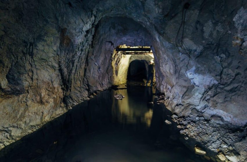 Scientists Dive Into a Flooded Texas Cave and Discover a Massive Prehistoric Graveyard Hidden Underwater