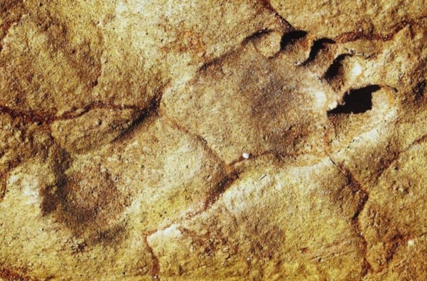  Scientists Found 120,000-Year-Old Footprints Where Humans Were Never Thought To Have Walked