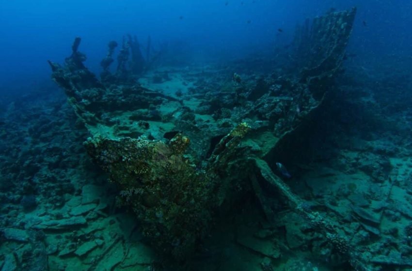  Scientists Found Two 170-Year-Old Bottles of Beer in Shipwreck, Are They Still Good to Drink?