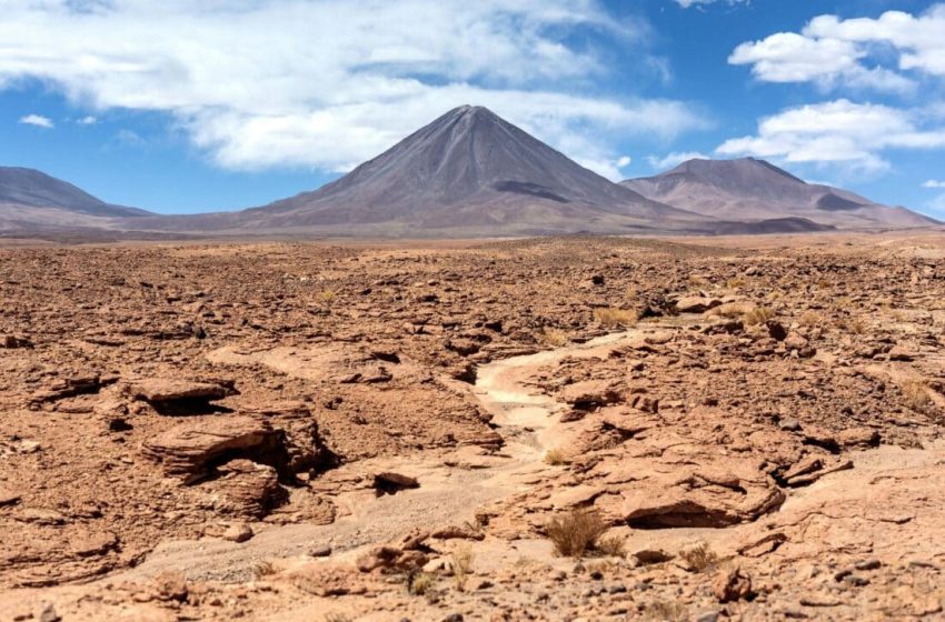  Scientists Found a Hidden “Oasis” Two Meters Below Earth’s Driest Desert