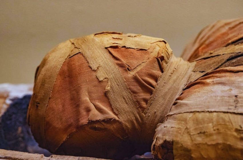  Scientists Have Found A Siberian Mummy Like No Other, It’s Covered in Tattoos!