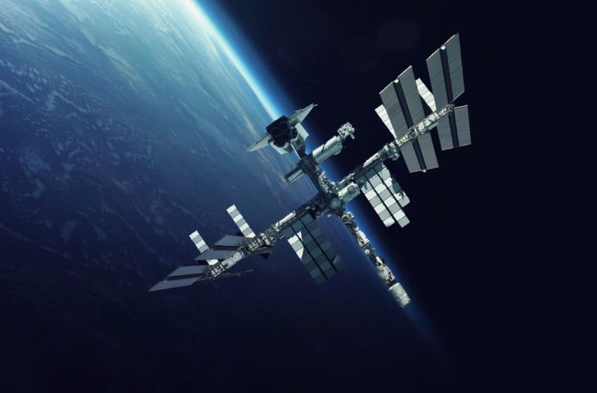  Scientists Have Just Discovered What Happens to Muscles in Space, And They Did It by Sending 24 Mice into Orbit