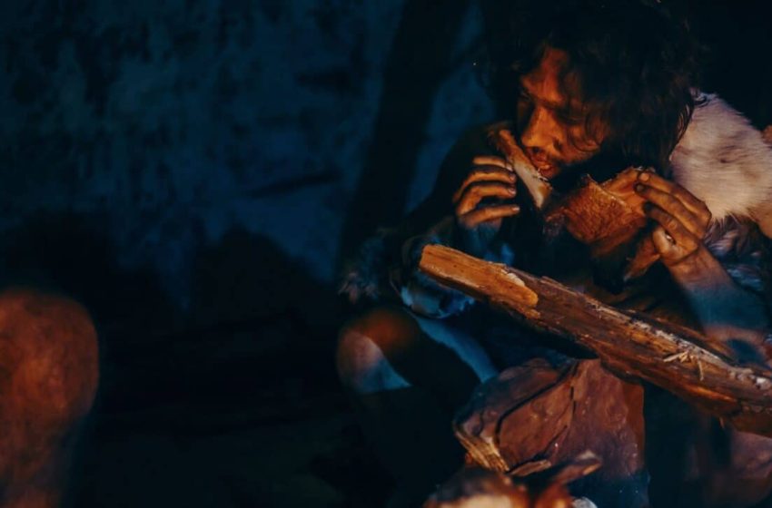  Scientists Reveal That Neanderthals Weren’t Just Survivors, They Had Food Traditions That Could Rival Modern Chefs!