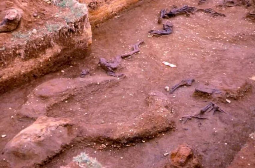  Scientists Say One of the Oldest Archaeological Sites in the Americas May Not Be as Old as We Thought