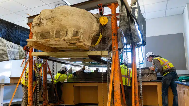 Scientists And Technicians Carefully Maneuver A Massive Fossil Dinosaur Block Using A Lifting Frame Inside A Laboratory