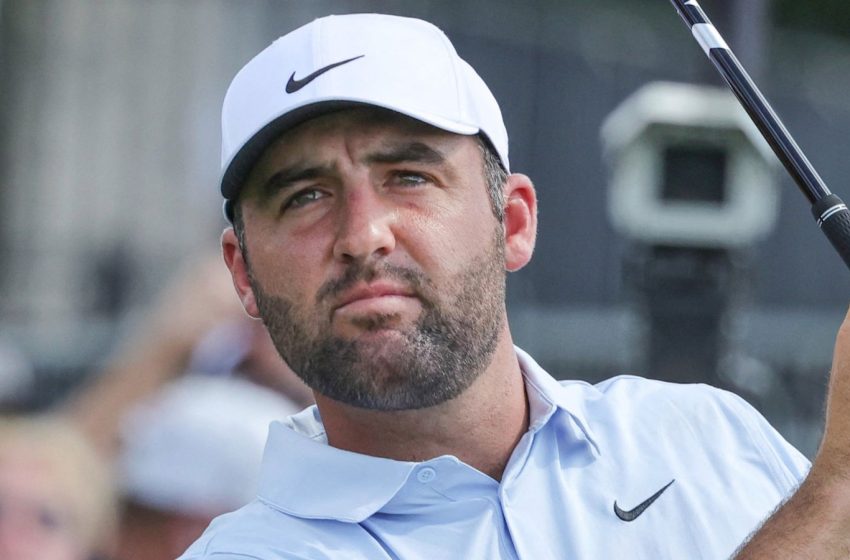  Scottie Scheffler penalised after ball gets stuck in tree at Arnold Palmer Invitational