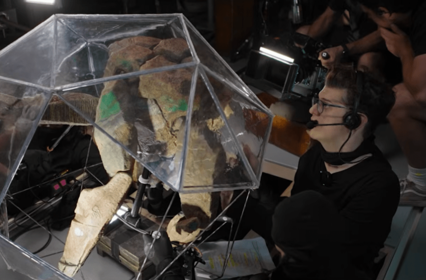  How ‘Project Hail Mary’ Rocky Puppeteer Brought the Alien to Life