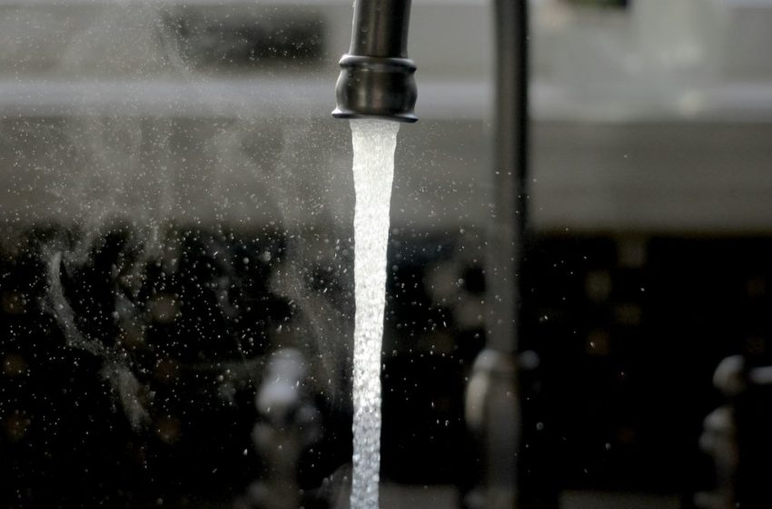  She Simply Rinsed Her Sinuses with Tap Water in Her RV—Then a Rare, Deadly “Brain-Eating” Amoeba Killed Her