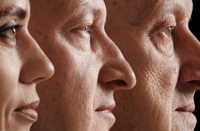  Study Reveals a ‘Turning Point’ in US Life Expectancy : ScienceAlert