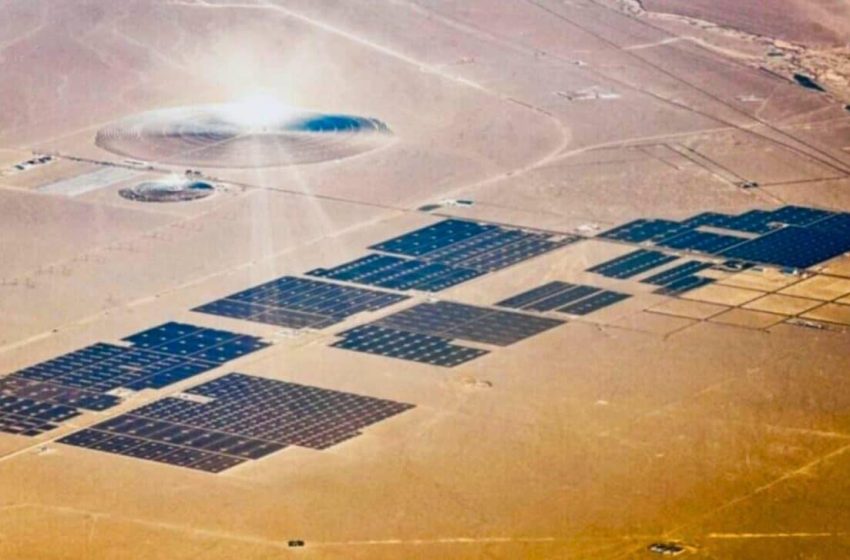  China Covered a Massive Desert with Solar Panels for Clean Energy, but the Land Began to Evolve