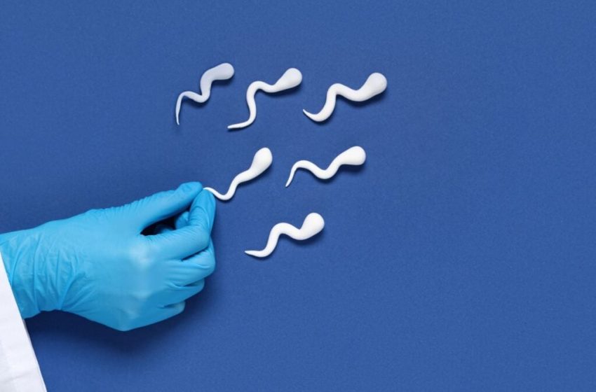  The Secret to Better Sperm? It’s Probably Already on Your Schedule